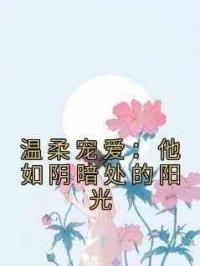 温柔宠爱：他如阴暗处的阳光