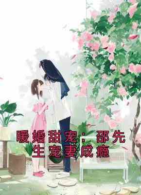 暖婚甜宠：邵先生宠妻成瘾