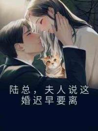 陆总，夫人说这婚迟早要离