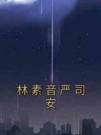 林素音严司安