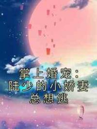 掌上婚宠：陆少的小娇妻总想逃