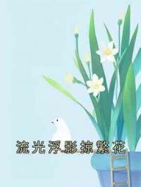 流光浮影掠繁花