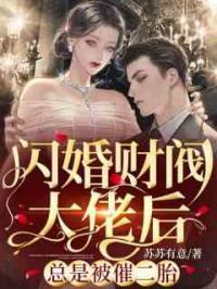 闪婚财阀大佬后，总是被催二胎