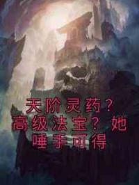 天阶灵药？高级法宝？她唾手可得