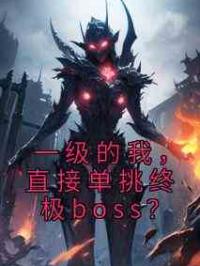 一级的我，直接单挑终极boss？