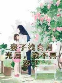 妻子找白月光后，我不再舔了