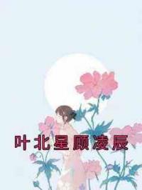 叶北星顾凌辰