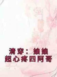 清穿：娘娘超心疼四阿哥