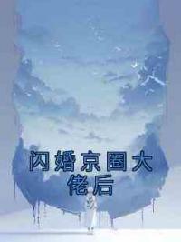 闪婚京圈大佬后