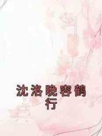 沈洛晚容鹤行