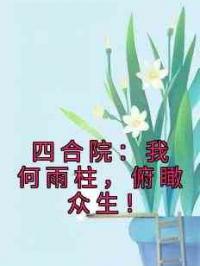 四合院：我何雨柱，俯瞰众生！