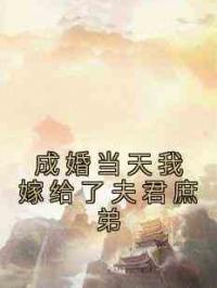 成婚当天我嫁给了夫君庶弟