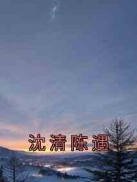 沈清陈遇