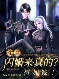 沈总，闪婚来真的？得加钱！