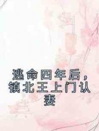 逃命四年后，镇北王上门认妻