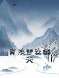 肖映雪沈翎天