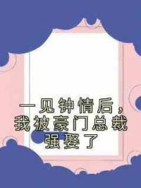 一见钟情后，我被豪门总裁强娶了