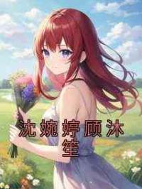 沈婉婷顾沐笙