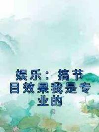 娱乐：搞节目效果我是专业的