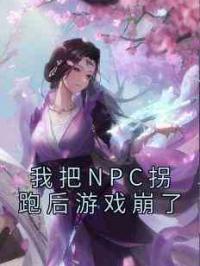 我把NPC拐跑后游戏崩了