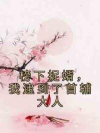 榜下捉婿，我逮到了首辅大人