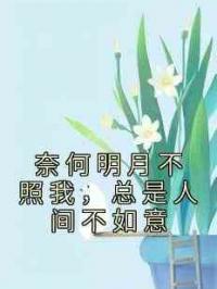 奈何明月不照我，总是人间不如意