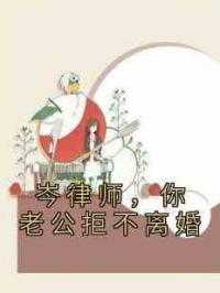 岑律师，你老公拒不离婚