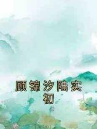 顾锦汐陆实初