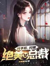 分手后，闪婚绝美女总裁