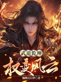 武道乾坤：权变风云