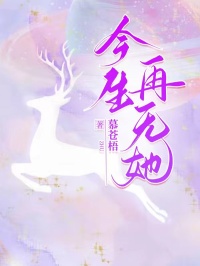 今生再无她