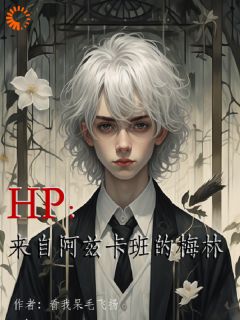 《HP：来自阿兹卡班的梅林》戴纳布莱克小说全文阅读