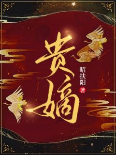 张汐音复仇