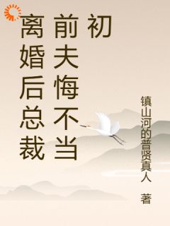 离婚后总裁前夫悔不当初