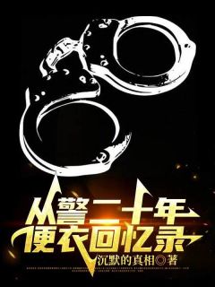 从警二十年，便衣回忆录